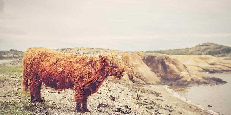 上海美容护肤行业前景展望：创新驱动下的美丽新纪元