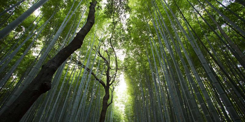 上海美良52:一站式美丽解决方案,揭秘护肤美发美容的融合之道