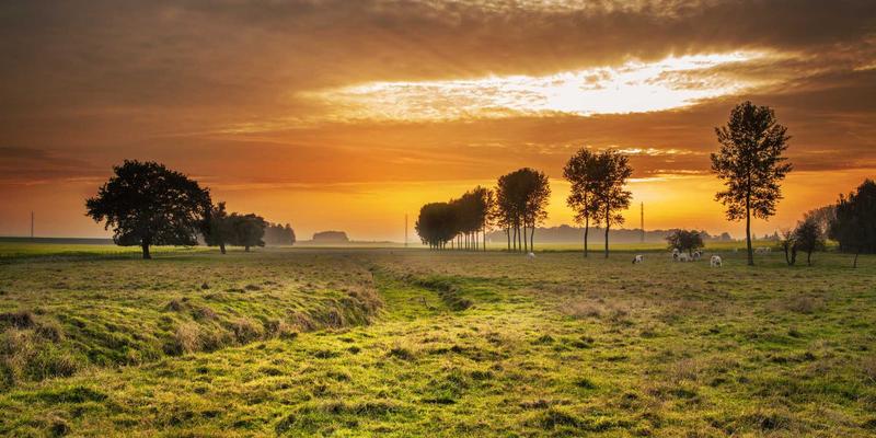 上海美良54：探索都市美学新地标，揭秘专业美发与护肤的融合之道