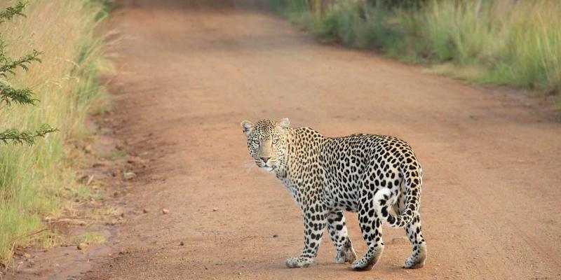 上海美良6:探索都市美学新地标,彩妆与美发的艺术融合