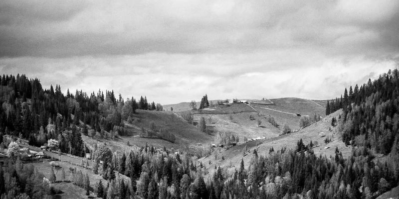 上海美良94:专业美容的卓越典范,诠释上海品质之美