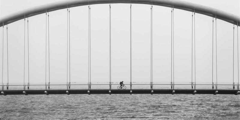 上海美良ODM服务：植物干细胞提取技术如何重塑专业美容护肤新标杆