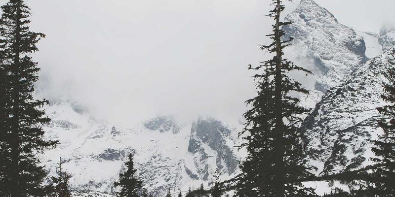 上海美良:专业美容与化妆品艺术的融合典范