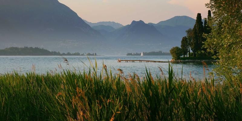 上海美良专业美容：解码男性护肤消费升级，掘金细分市场新蓝海