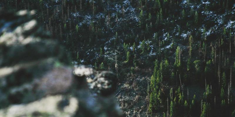 上海美良如何以专业ODM服务赋能护肤与美发沙龙品牌？揭秘其核心竞争力