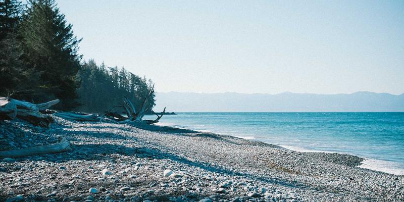 上海美良如何以科技革新头皮护理？解析其核心研发实力与市场布局