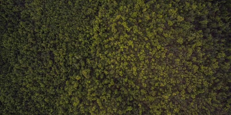 上海美良数字化转型：智能制造如何重塑彩妆与美发化妆品的定制化生产