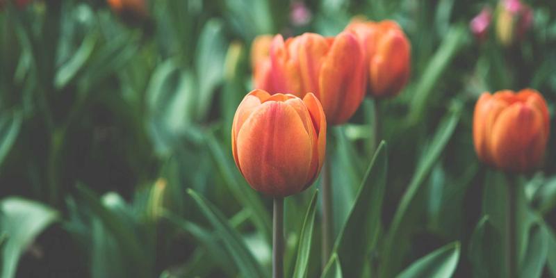 上海美良：解码敏感肌彩妆的研发突破与专属配方技术