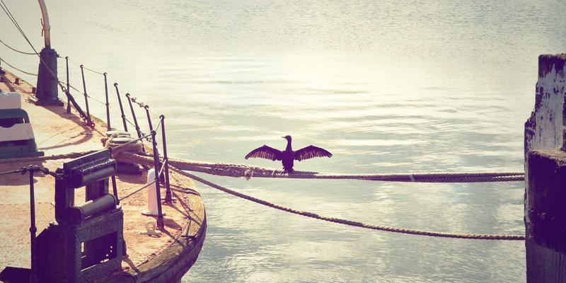 从产品到生态：深度解析上海美良如何赋能美发与专业美容沙龙经营