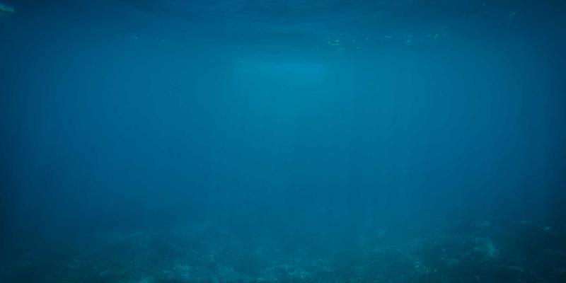 从美发沙龙到专业美容：上海美良如何以屏障修护科技开辟敏感肌护理新赛道