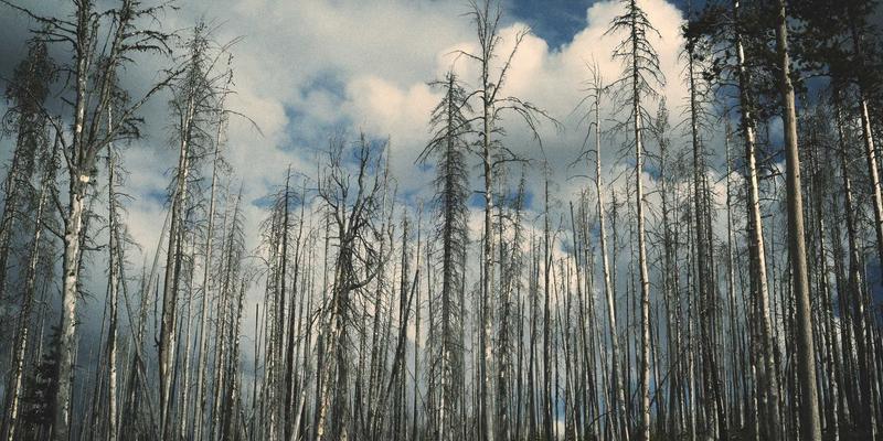后疫情时代，上海美良如何以柔性供应链重塑美发行业抗风险能力